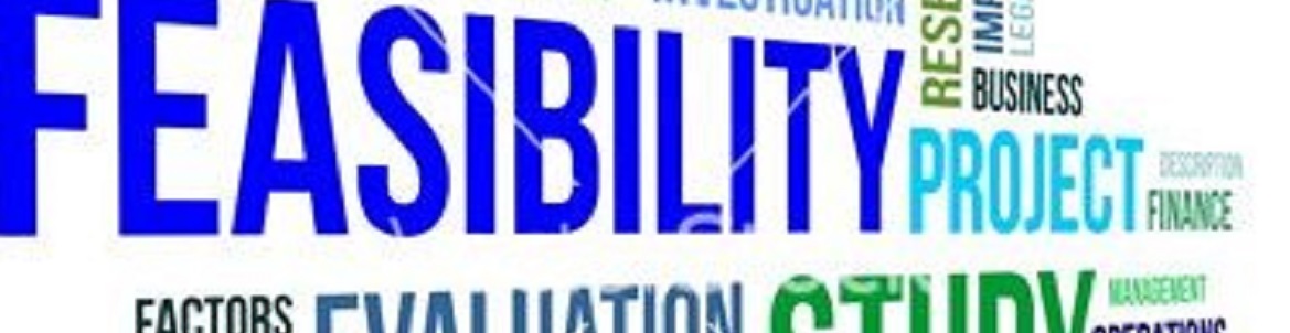 Feasibility Analysis